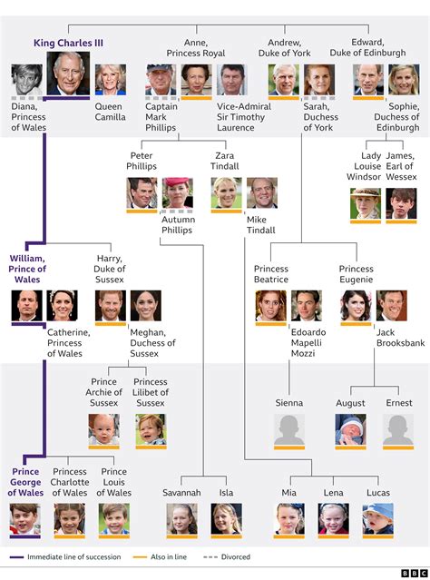 The Royal Family Novibet